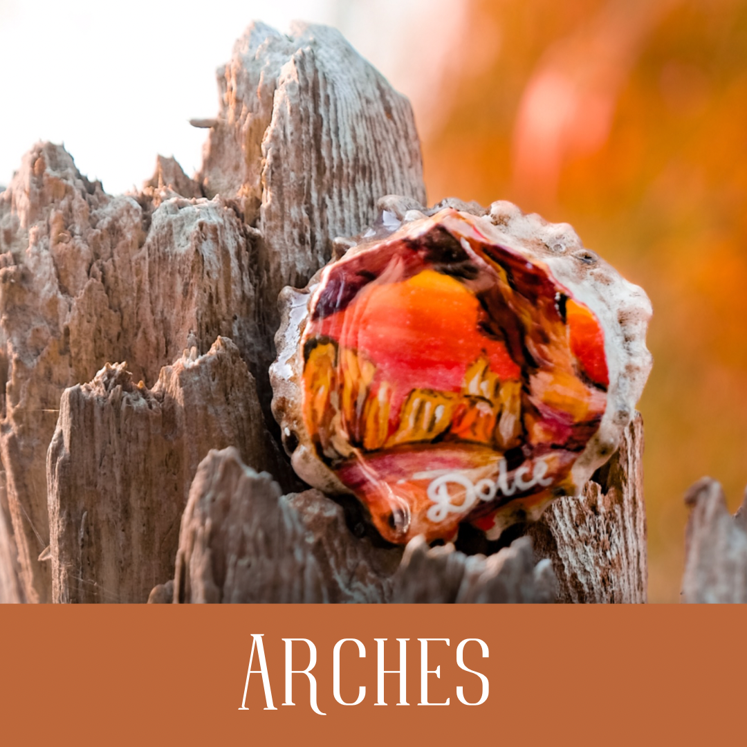 National Parks Antler Tags