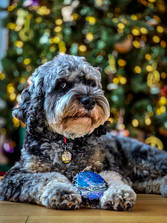 Deal: Ornaments Bundles