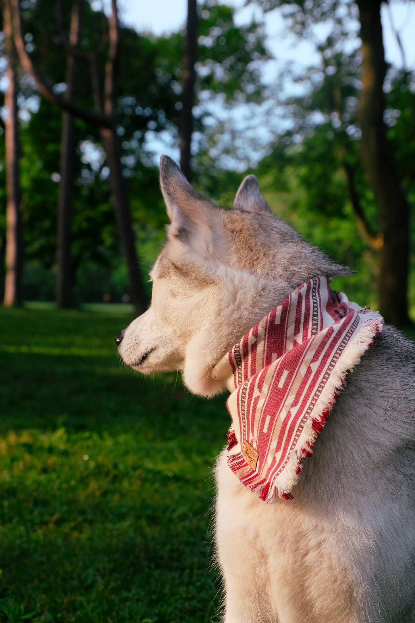 Trail Blazer Flannel Bandana