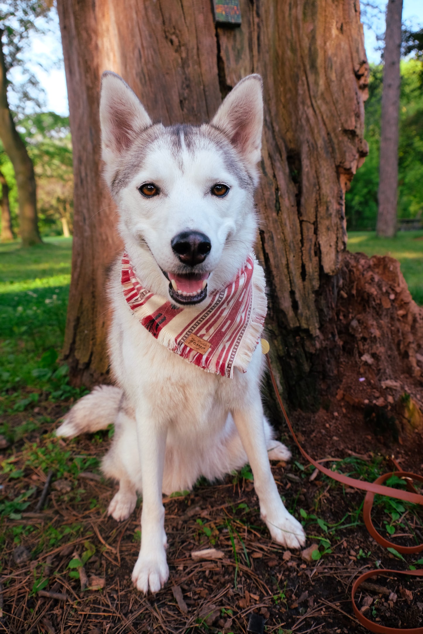 Trail Blazer Flannel Bandana