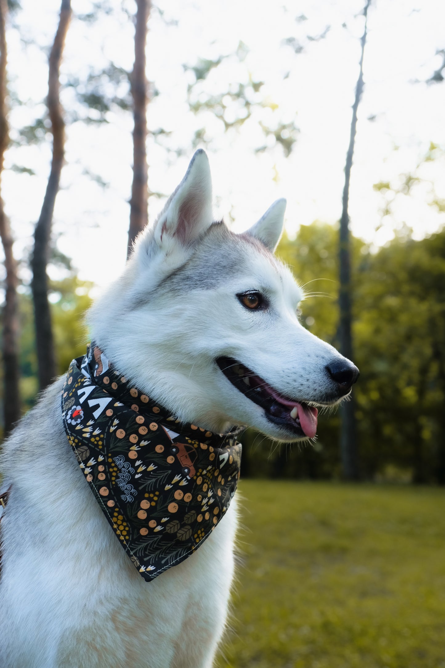 Happy Camper Dog Bandana