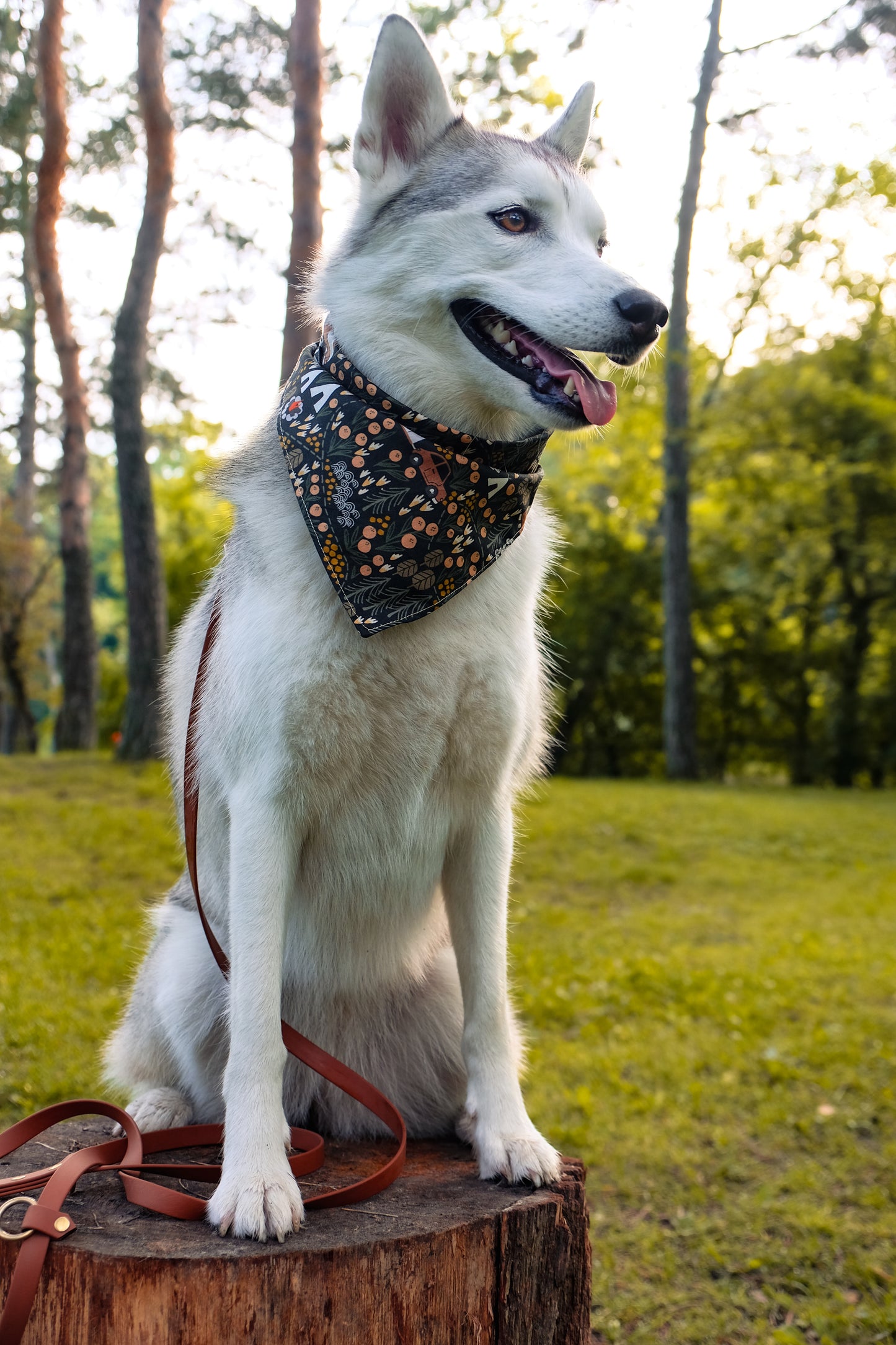 Happy Camper Dog Bandana