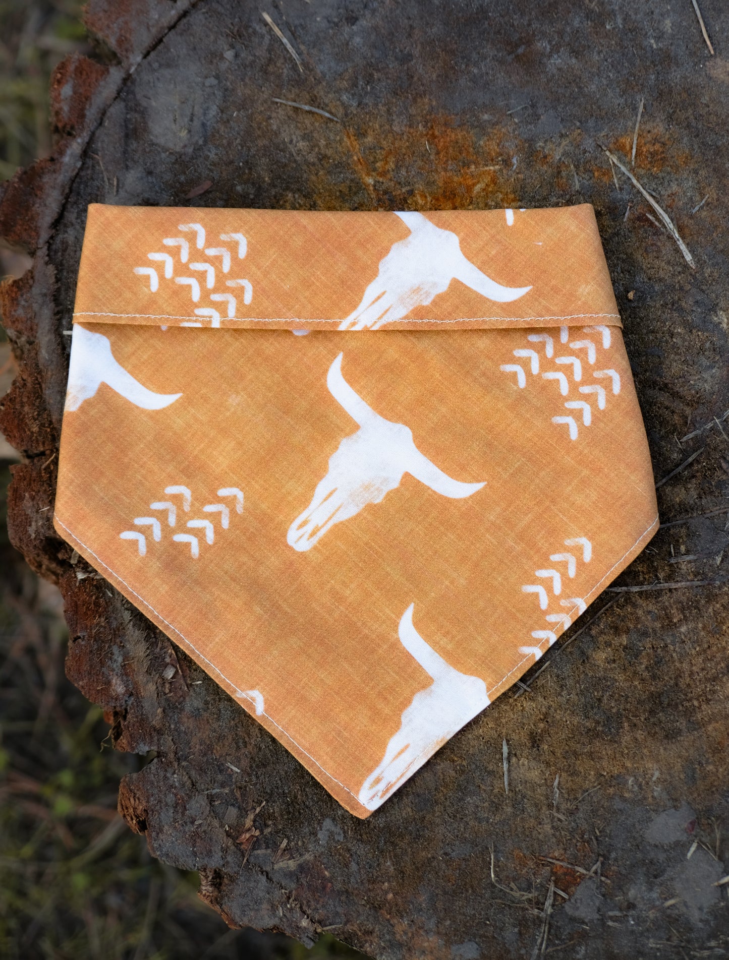 Desert Roamer Dog Bandana