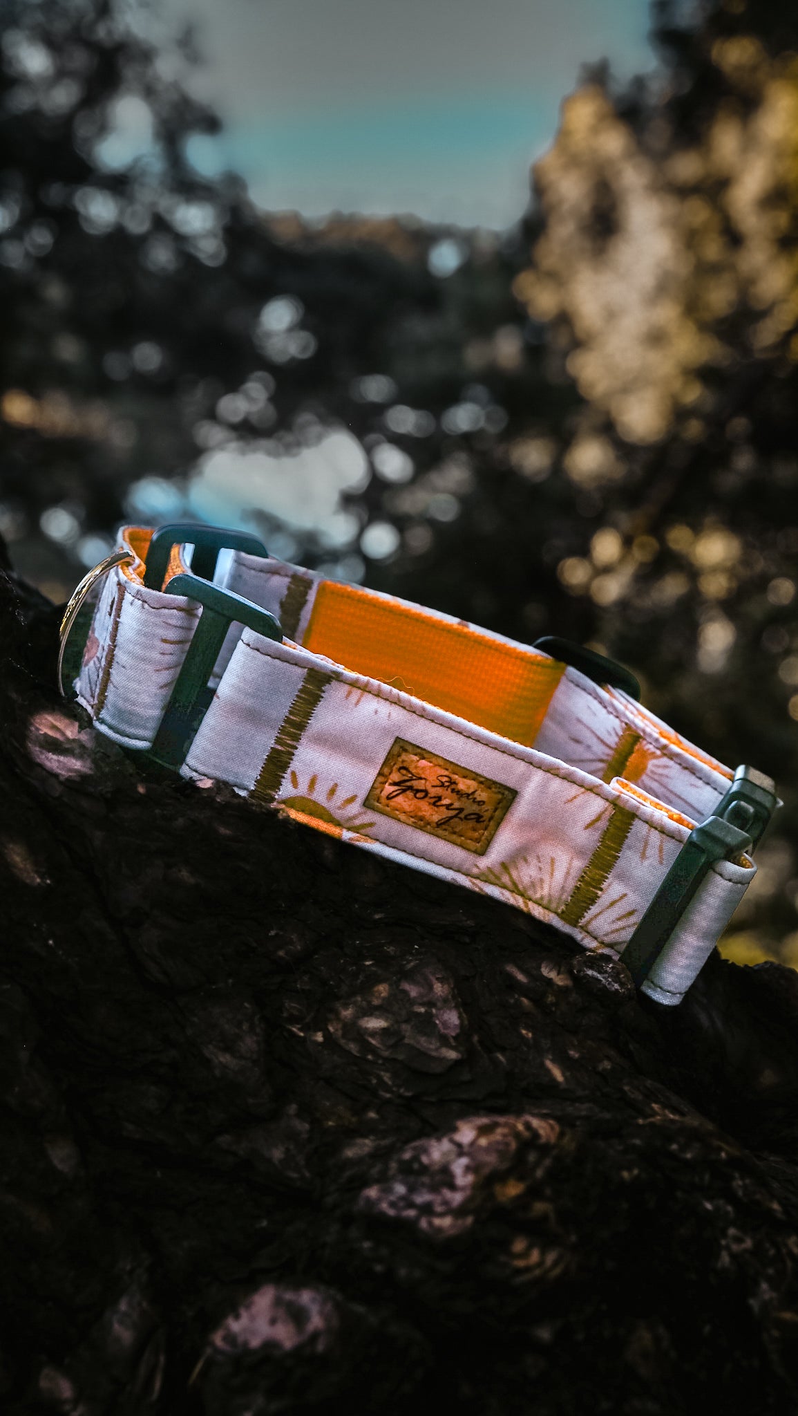 NEW - Rising Sun Collar (Martingale/flat/limited slip; 1”/1.5”/2”)