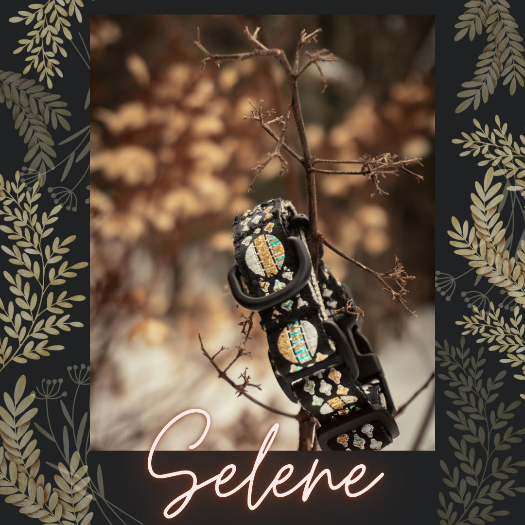 SELENE Dog Collar (3/4” width)