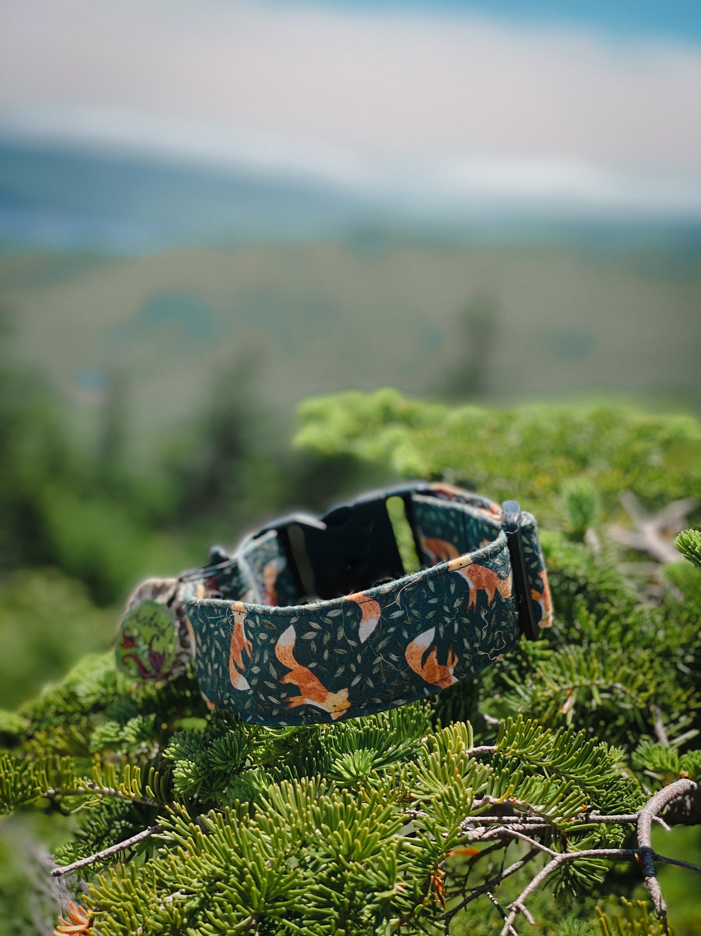 FOXY dog collar