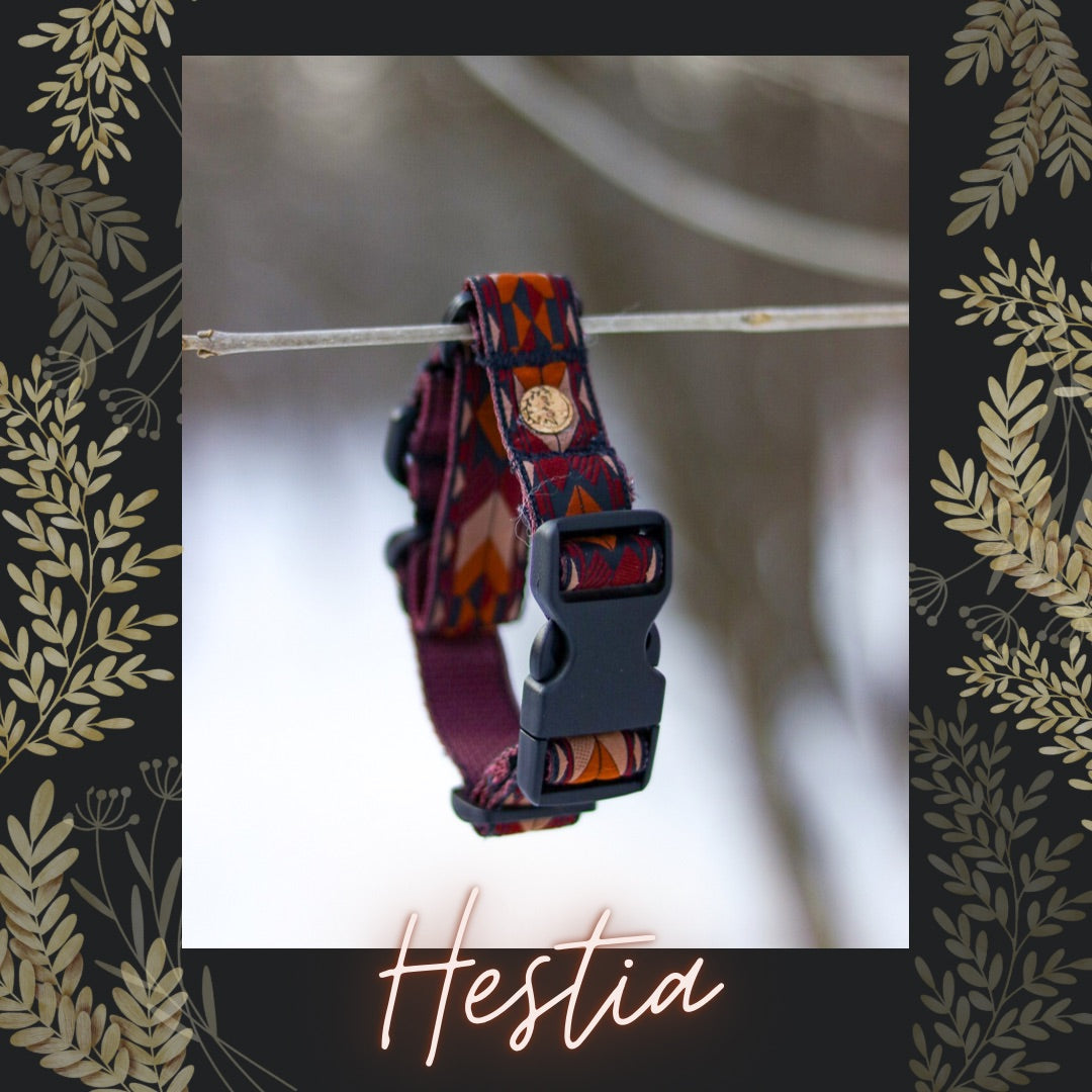 HESTIA dog collar (1” width)