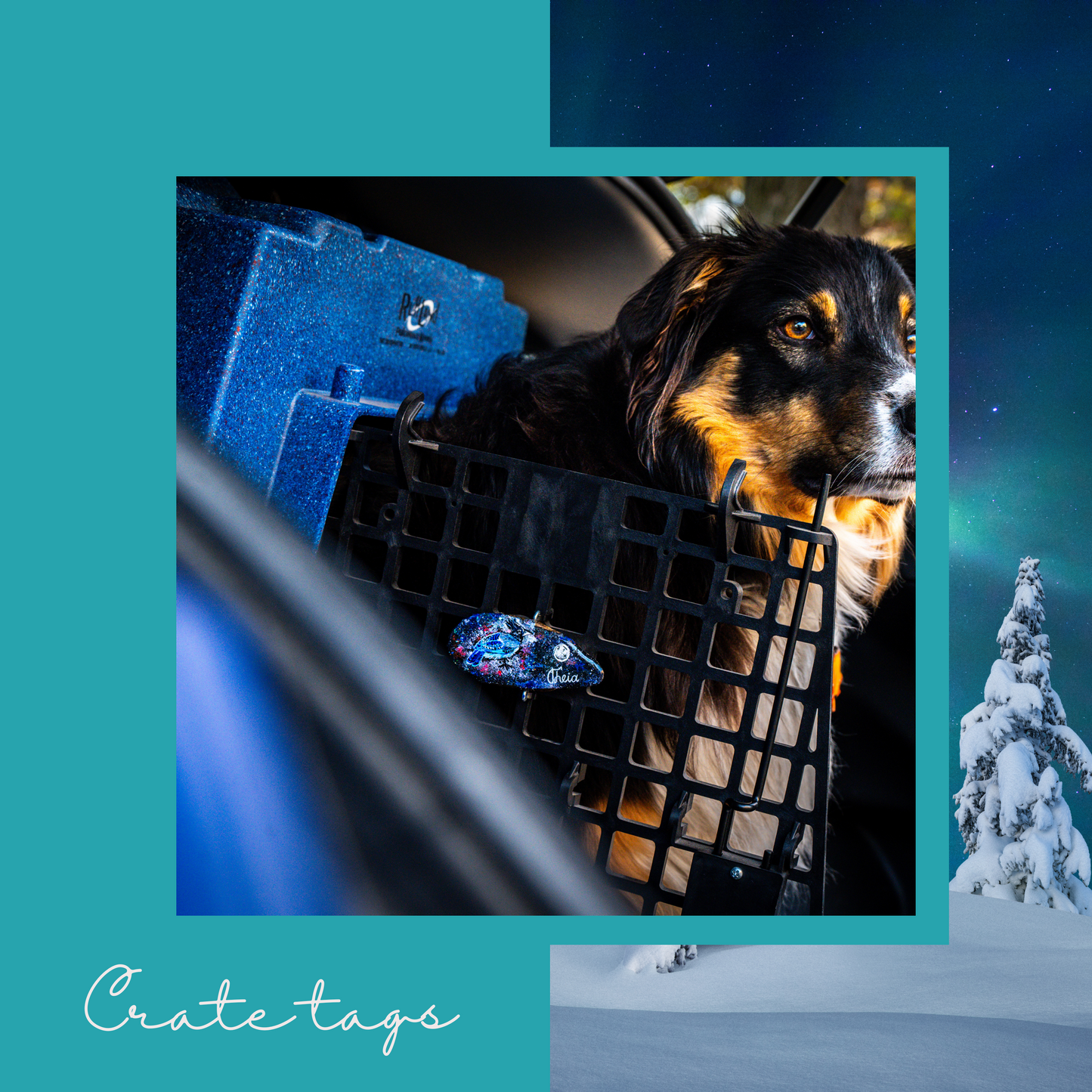 Winter release- custom crate tags