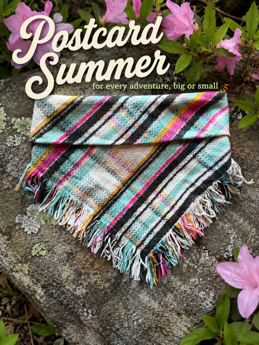 NEW - Postcard Summer bandana
