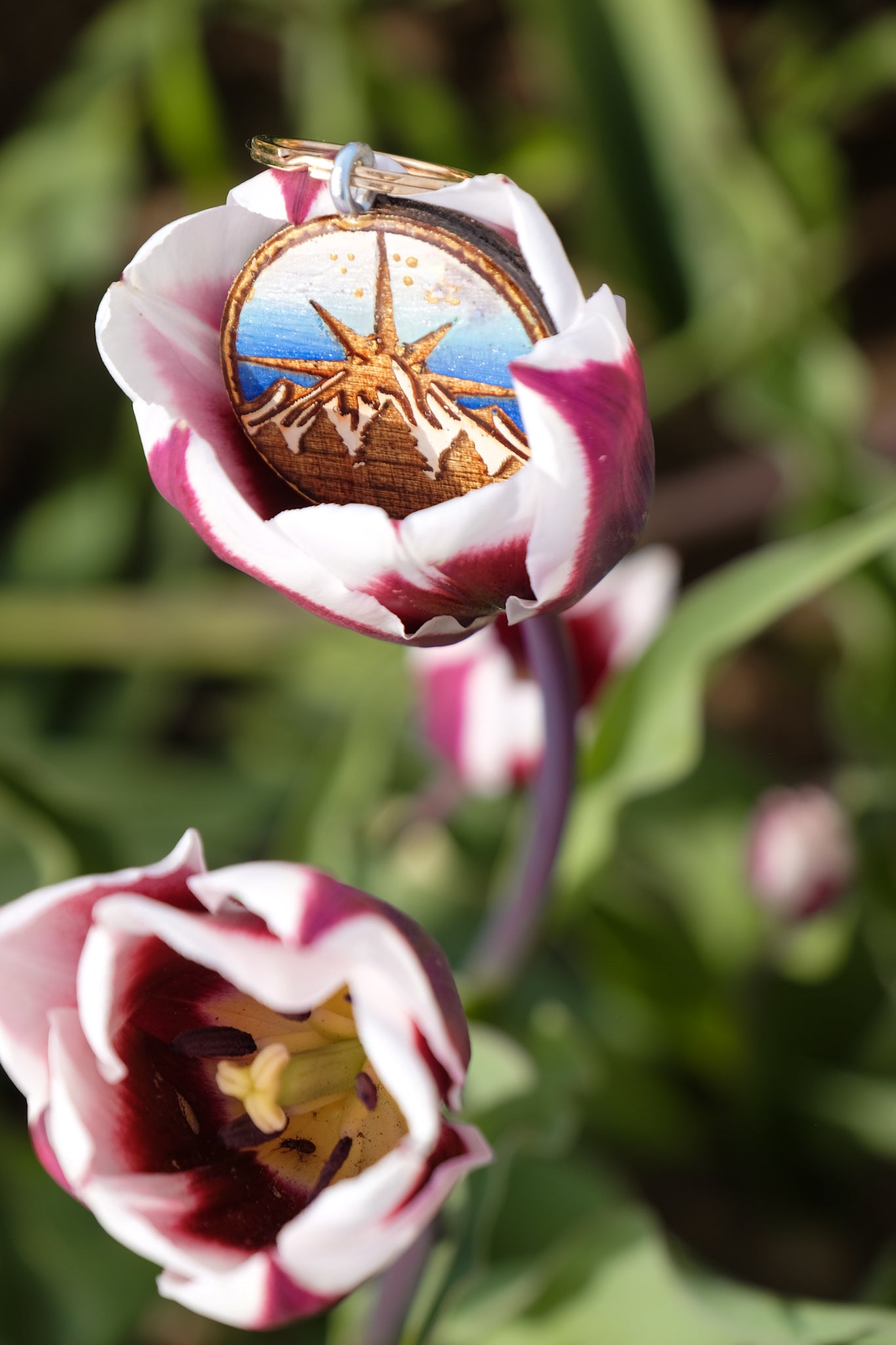 NEW wooden MOUNTAIN COMPASS tag